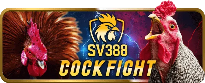 Phân tích ưu đãi mới nhất tại PK88 Casino