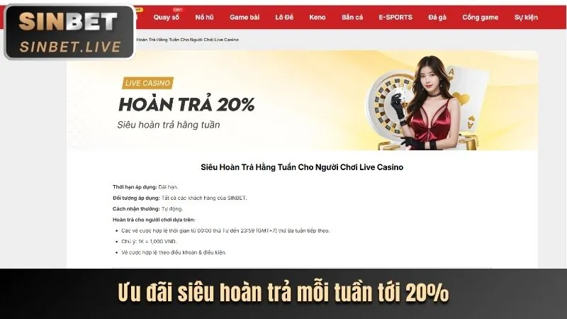 Thực hành chơi casino trực tiếp
